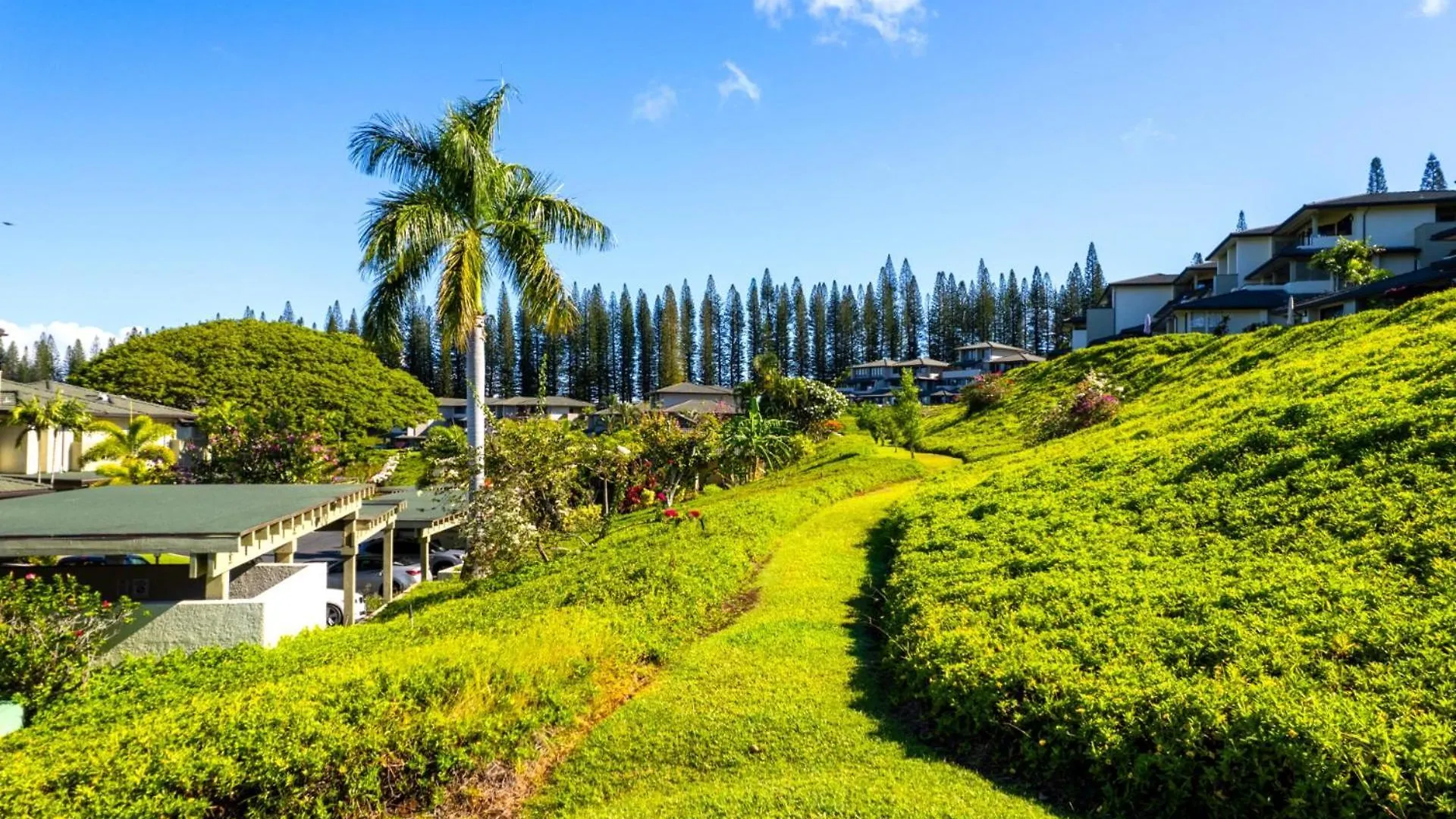 Kbm Resorts Spacious 3-Bedroom Kapalua Golf Collection Multi Unit Listing Same Enclave Golf Course Views 2 Free Rental Cars Kgv-19P3T1 USA