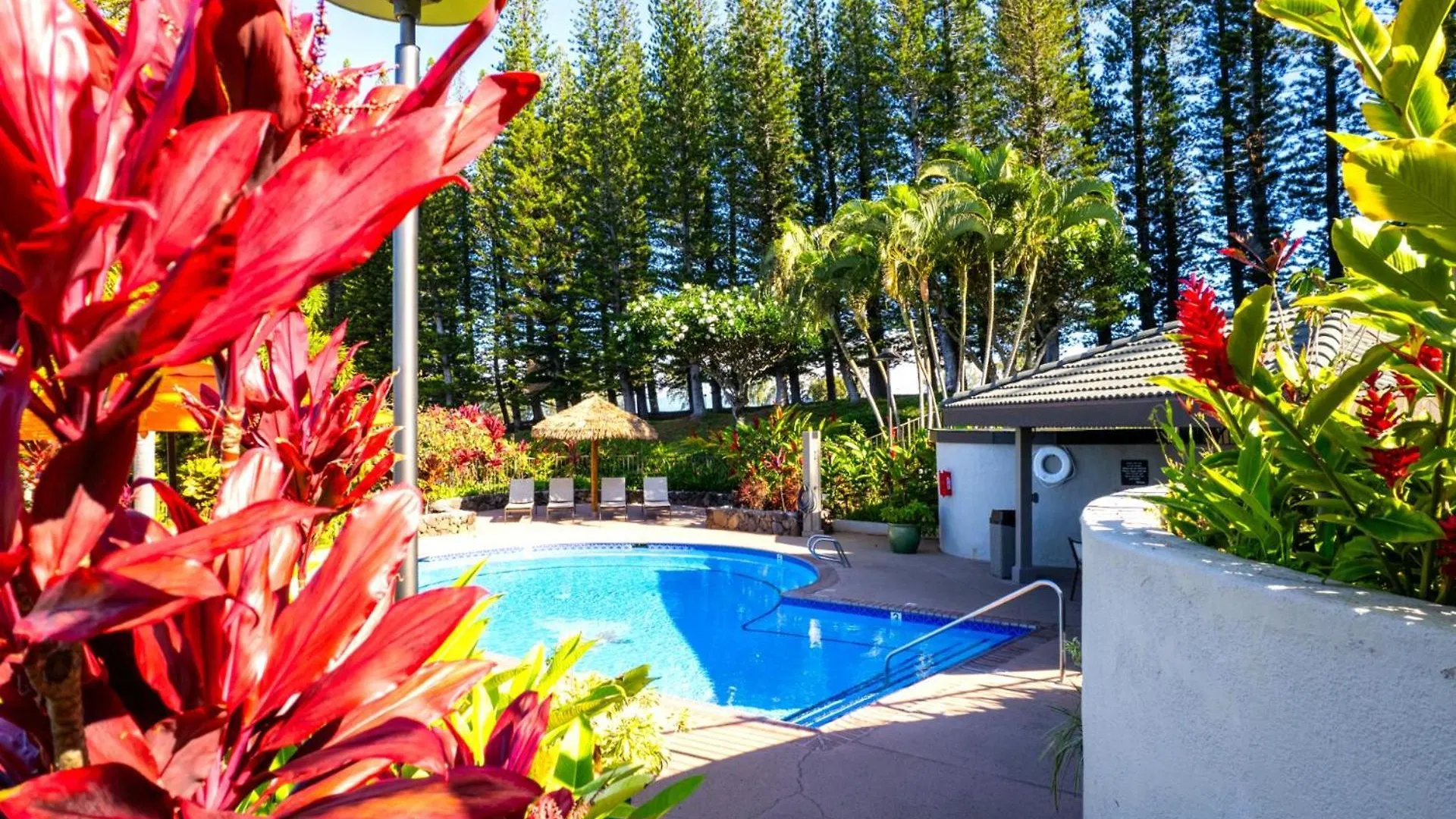 Kbm Resorts Spacious 3-Bedroom Kapalua Golf Collection Multi Unit Listing Same Enclave Golf Course Views 2 Free Rental Cars Kgv-19P3T1 0*,  USA